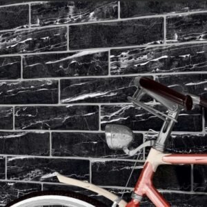 Fossil Blanco Tiles
