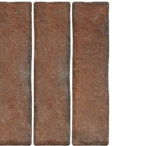 Fossil Classic Tiles