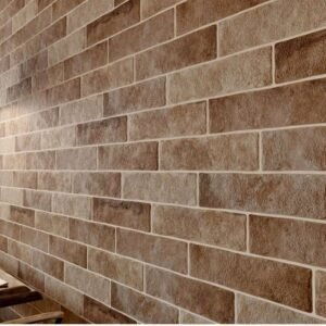 Fossil Ceniza Tiles