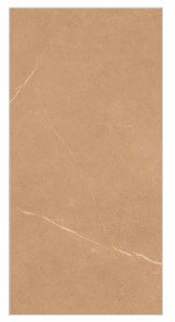 EXPRESS SILVENTINA BROWN TILES